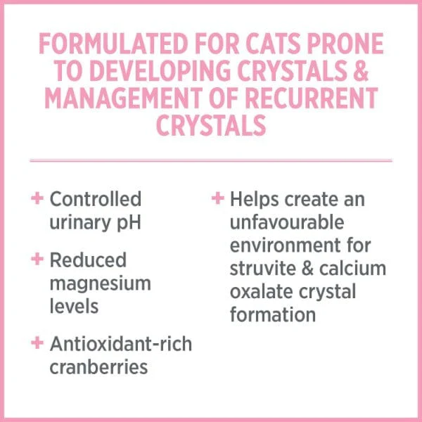 Nutrience Care+ Urinary Health Dry Cat Food - Image 3