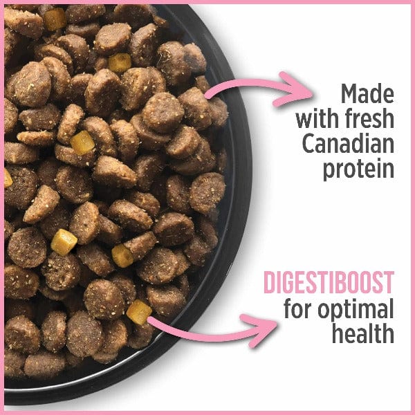 Nutrience Care+ Urinary Health Dry Cat Food - Image 4