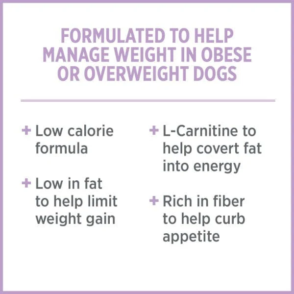 Nutrience Care+ Weight Management Dry Dog Food - Image 3
