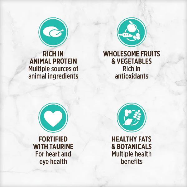 Nutrience Grain Free Turkey, Chicken & Duck Pate Canned Cat Food - Image 2