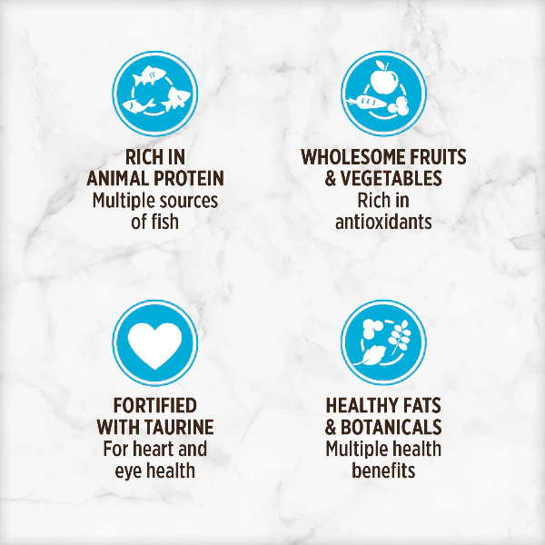 Nutrience Grain Free Ocean Fish Pate Canned Cat Food - Image 2