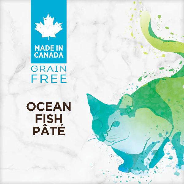 Nutrience Grain Free Ocean Fish Pate Canned Cat Food - Image 5
