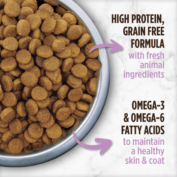Nutrience Grain Free Pork, Lamb & Duck Dog Food, 10kg - Image 2