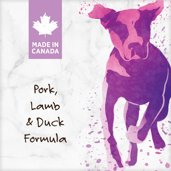 Nutrience Grain Free Pork, Lamb & Duck Dog Food, 10kg - Image 7