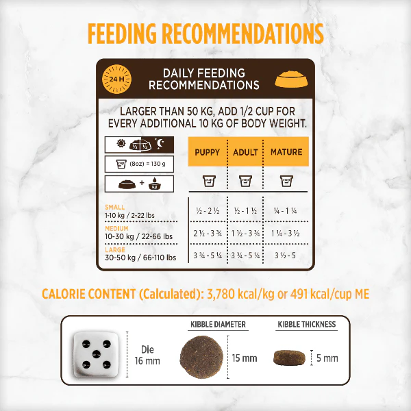 Nutrience Grain Free Turkey, Chicken & Herring Dog Food, 10kg - Image 5