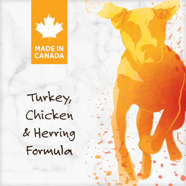 Nutrience Grain Free Turkey, Chicken & Herring Dog Food, 10kg - Image 7