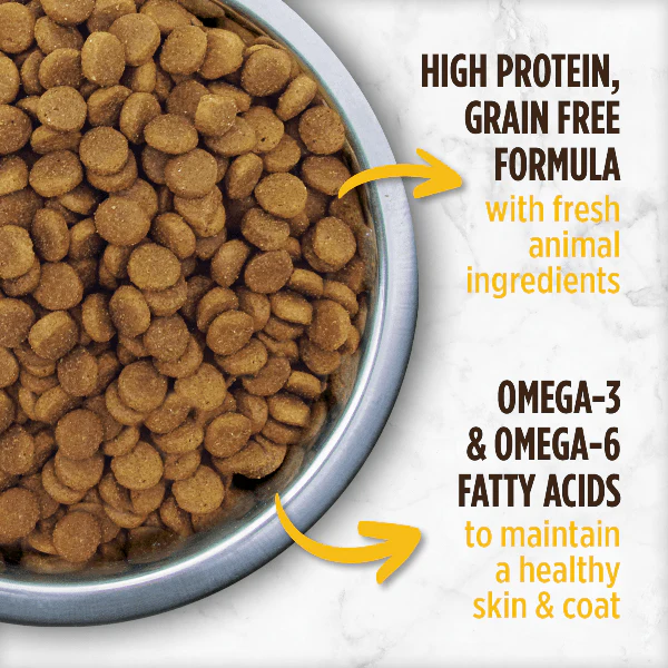 Nutrience Grain Free Turkey, Chicken & Herring Small Breed Dry Dog Food - Image 2