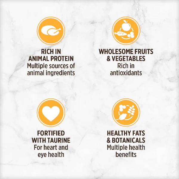 Nutrience Grain Free Turkey, Chicken & Liver Pate Canned Cat Food - Image 2