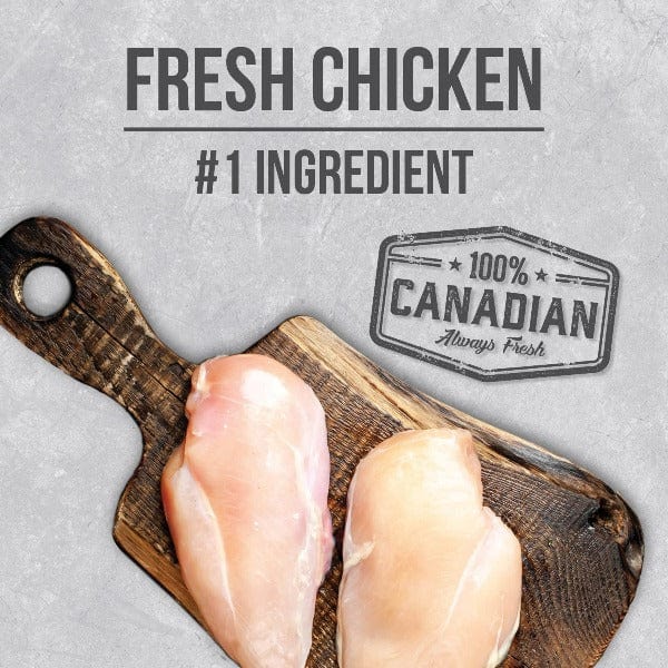 Nutrience Infusion Healthy Senior Chicken Recipe Dry Dog Food, 10kg - Image 4