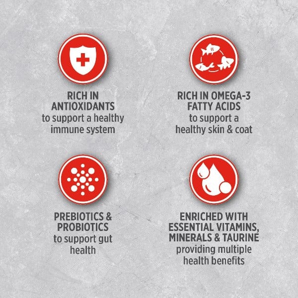Nutrience Infusion Healthy Adult Beef Recipe Dry Dog Food - Image 3
