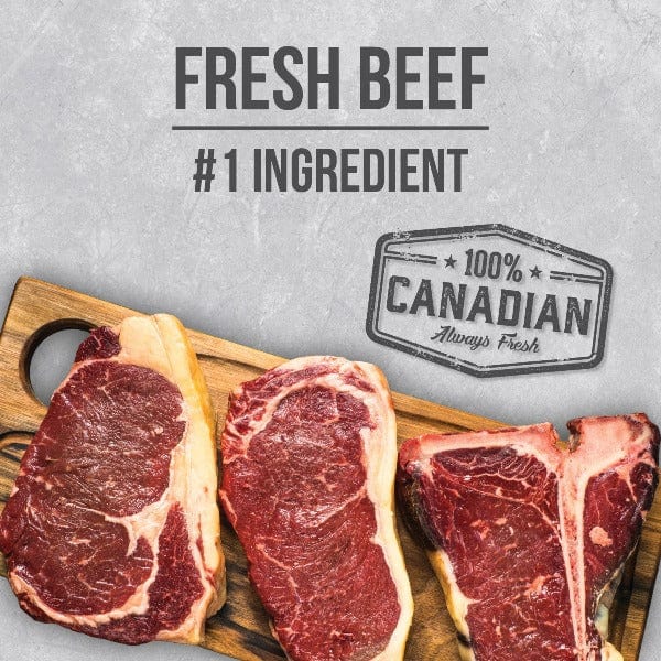 Nutrience Infusion Healthy Adult Beef Recipe Dry Dog Food - Image 4