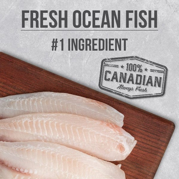 Nutrience Infusion Healthy Adult Ocean Fish Recipe Dry Dog Food - Image 3