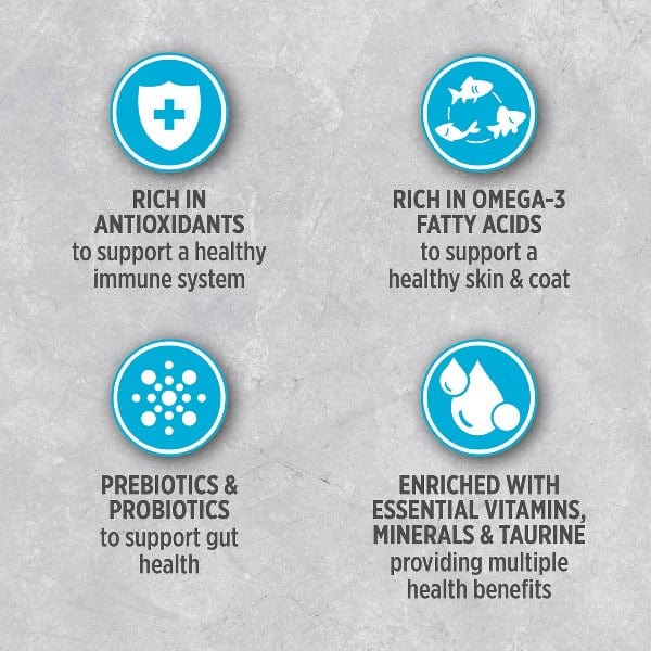 Nutrience Infusion Healthy Adult Ocean Fish Recipe Dry Dog Food - Image 4