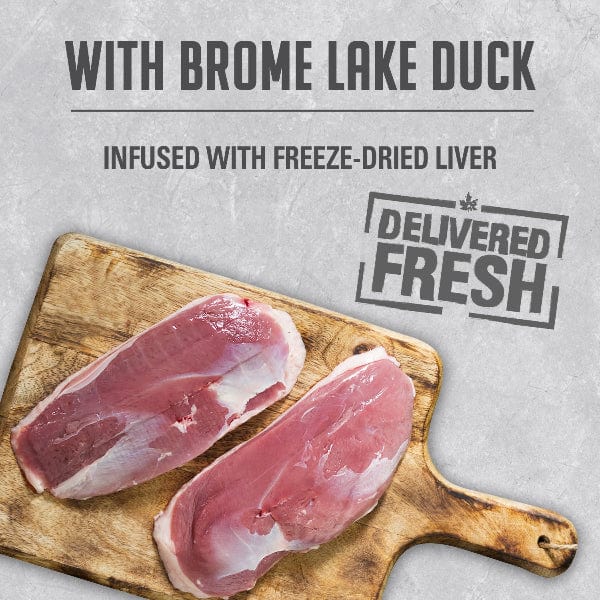 Nutrience Infusion Pate with Brome Lake Duck Canned Dog Food - Image 2