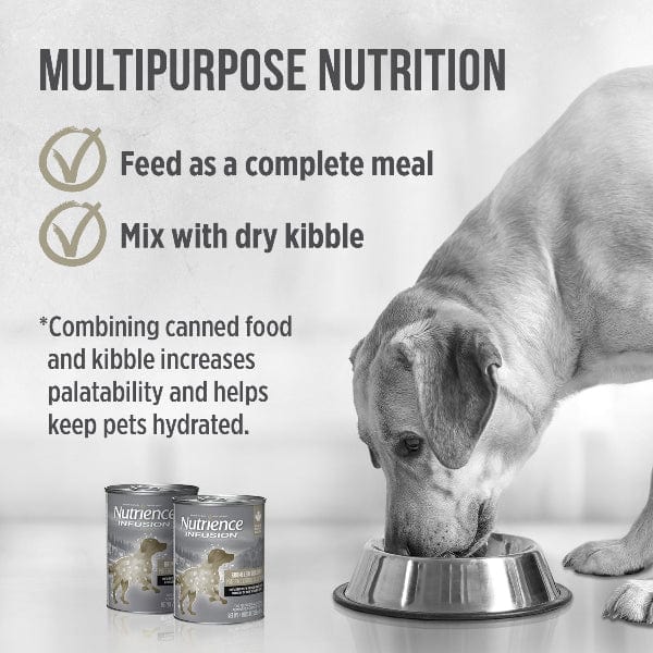 Nutrience Infusion Pate with Brome Lake Duck Canned Dog Food - Image 4