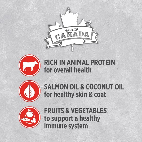 Nutrience Infusion Pate with Canadian Angus Beef Canned Dog Food - Image 3