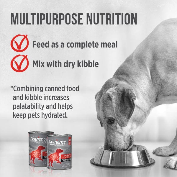 Nutrience Infusion Pate with Canadian Angus Beef Canned Dog Food - Image 4