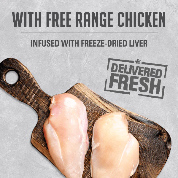 Nutrience Infusion Pate with Free Range Chicken Canned Dog Food - Image 2
