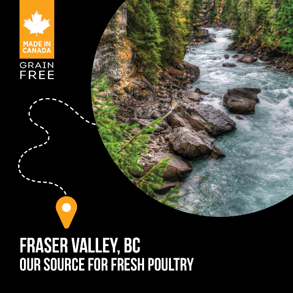 Nutrience SubZero Fraser Valley High Protein Dry Cat Food - Image 4