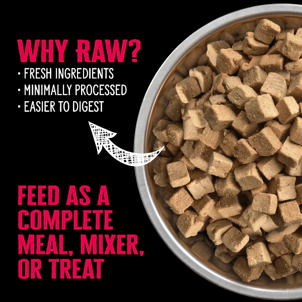 Nutrience SubZero Freeze-Dried Raw Beef & Pumpkin Dog Food - Image 2