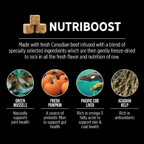 Nutrience SubZero Prairie Red High Protein Dry Dog Food - Image 4