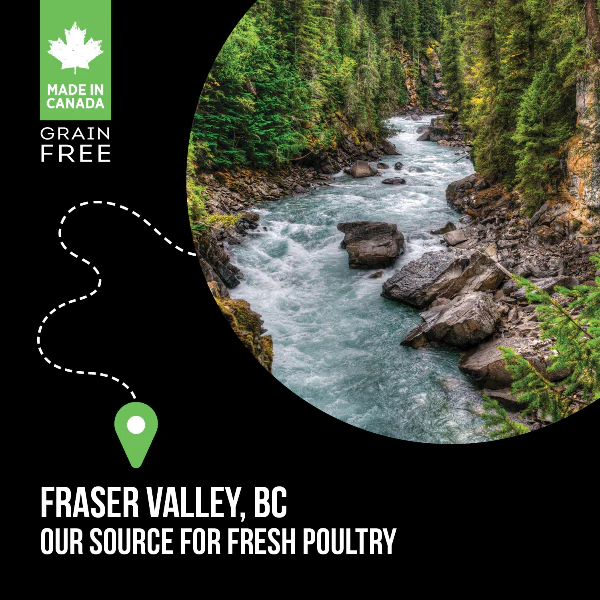 Nutrience SubZero Healthy Puppy Fraser Valley Recipe Dry Dog Food - Image 7