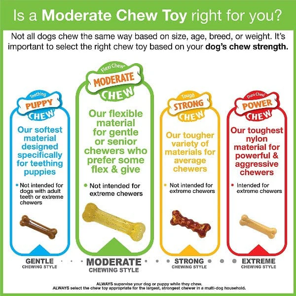 Nylabone Dental Chew and Flexi Bone Combo Pack Dog Chew Toys - Image 2