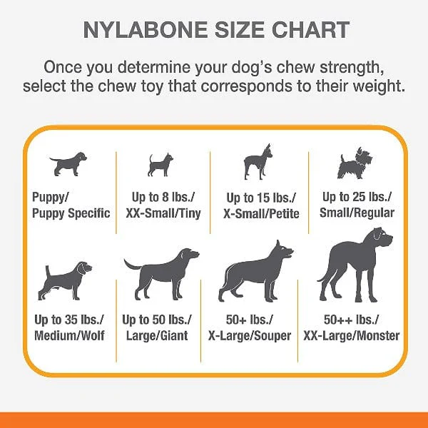 Nylabone Dental Chew and Flexi Bone Combo Pack Dog Chew Toys - Image 5