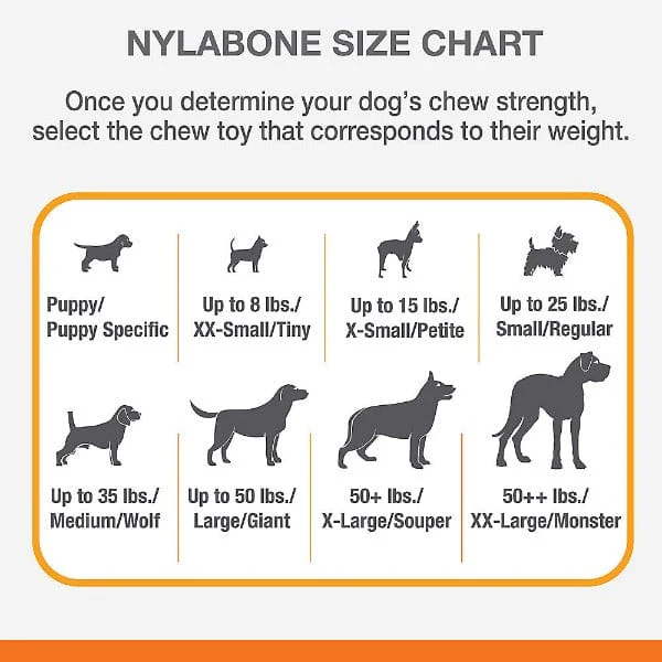 Nylabone DuraChew Bacon Bone - Image 5