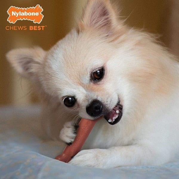 Nylabone DuraChew Bacon Bone - Image 7