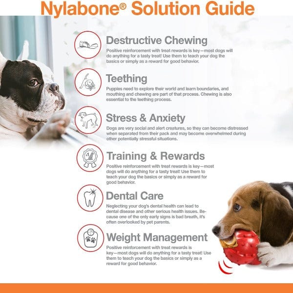 Nylabone Power Chew Action Ridges Chew Toy - Image 5