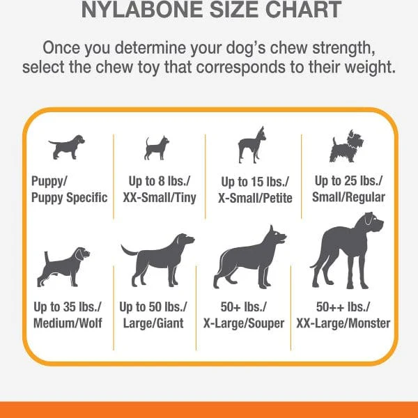 Nylabone Power Chew Bacon & Chicken Durable Dog Chew Toy Pack - Image 7