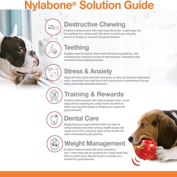Nylabone Power Chew Bacon & Chicken Durable Dog Chew Toy Pack - Image 9