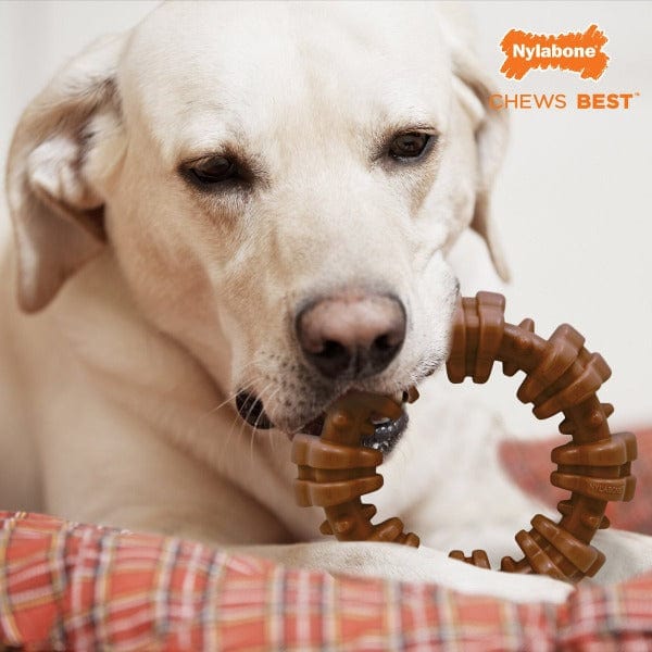 Nylabone Power Chew Textured Dog Ring Toy - Image 8