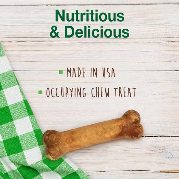 Nylabone Healthy Edibles Bacon Flavour Regular Dog Chew - Image 2