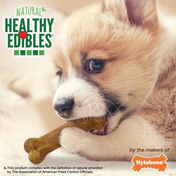 Nylabone Healthy Edibles Lamb & Apple Flavour Petite Puppy Chews - Image 5