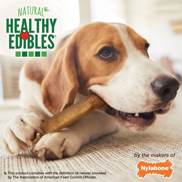 Nylabone Healthy Edibles Roast Beef Regular Chews - Image 5