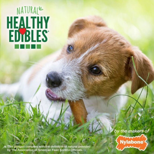Nylabone Healthy Edibles Roast Beef Wolf Chews - Image 5