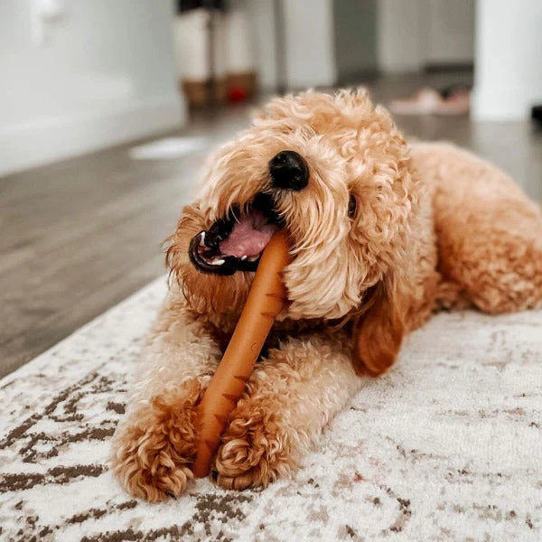 Nylabone Power Chew Baguette Dog Toy - Image 3