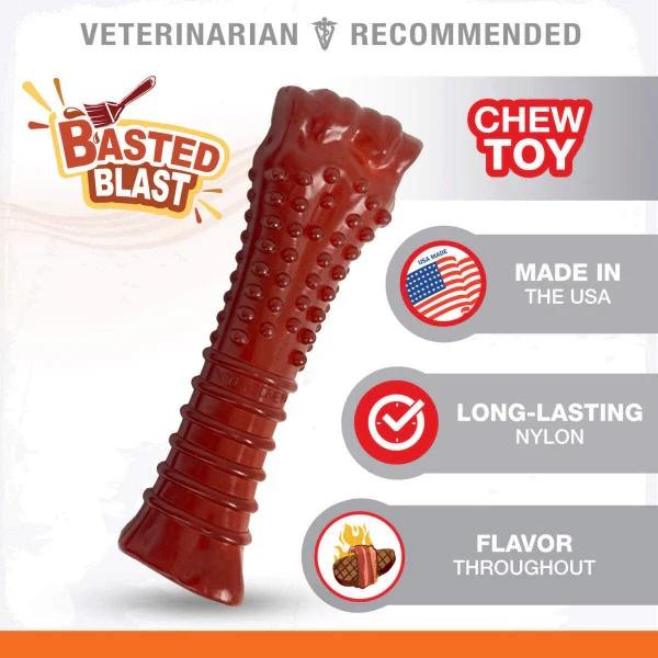 Nylabone Power Chew Basted Blast Dual Flavored Dog Chew Toys - Image 2