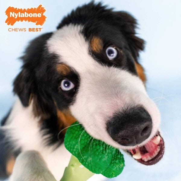 Nylabone Power Chew Broccoli Dog Toy - Image 3