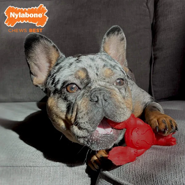Nylabone Power Chew Lobster Dog Toy - Image 3