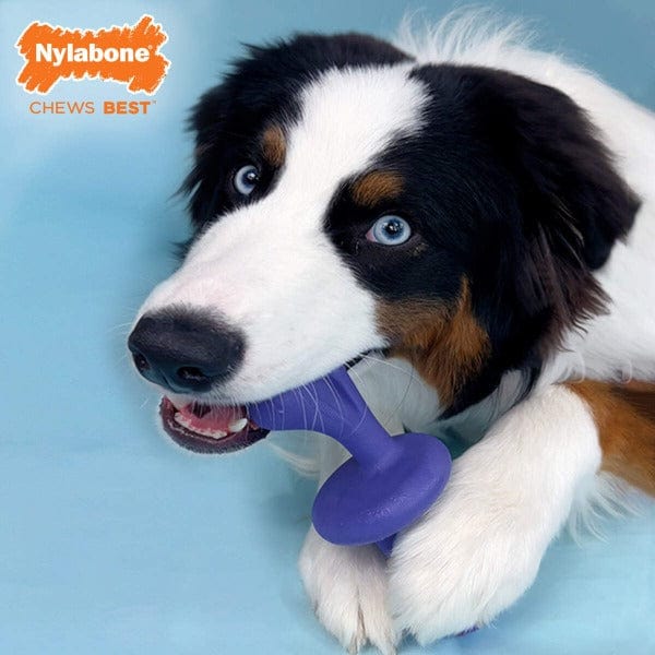 Nylabone Power Chew Rolling Dog Toy - Image 3