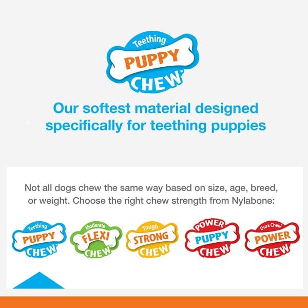 Nylabone Puppy Teething & Soothing Flexible Chew Toy - Image 4