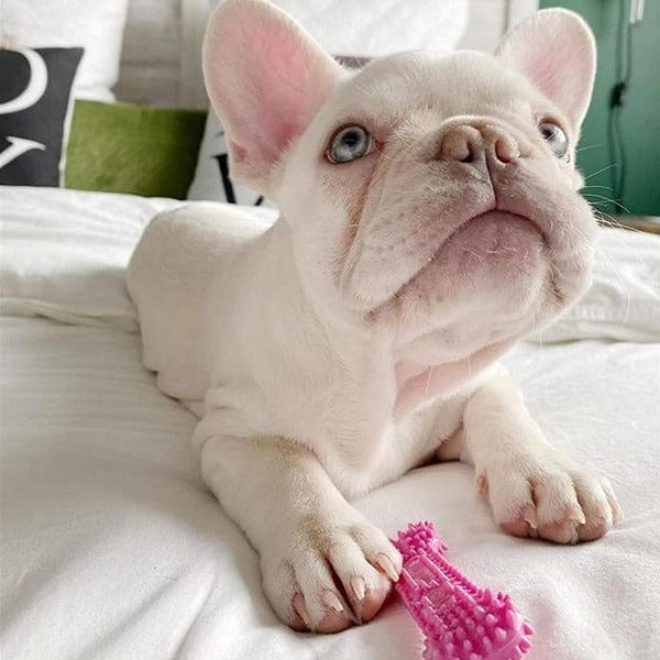 Nylabone Puppy Teething & Soothing Flexible Chew Toy - Image 6