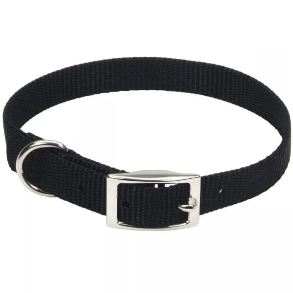 Coastal Single-Ply Dog Collar - Image 3