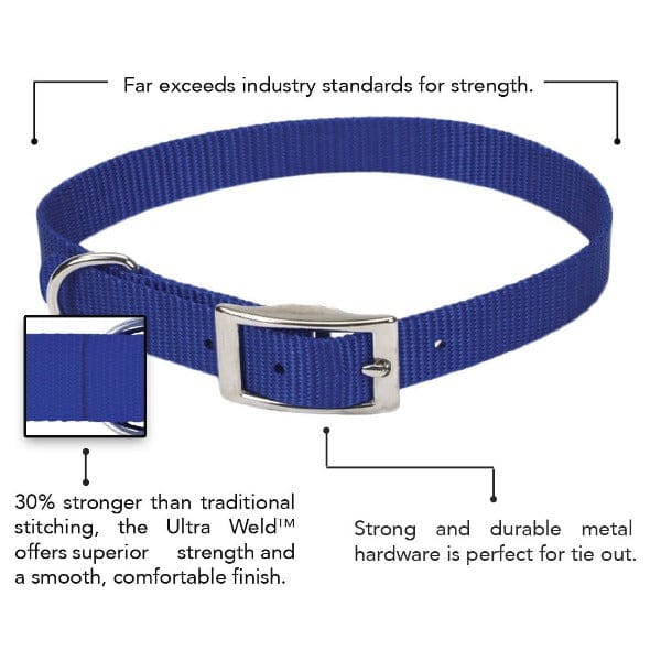 Coastal Single-Ply Dog Collar - Image 4
