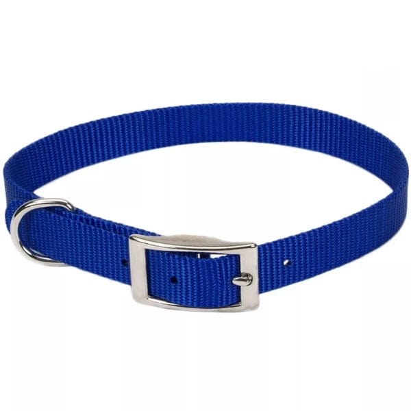 Coastal Single-Ply Dog Collar - Image 5