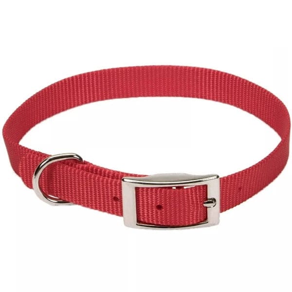 Coastal Single-Ply Dog Collar - Image 6