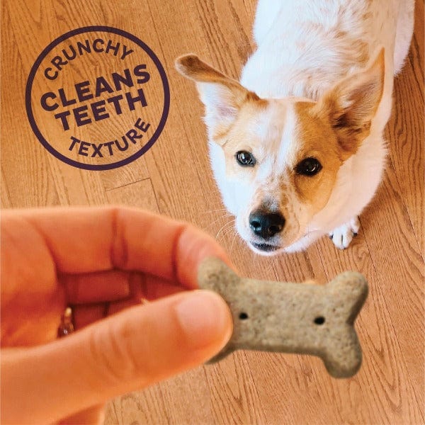 Wellness Old Mother Hubbard P-Nuttier Oven-Baked Dog Biscuits; Small - Image 4